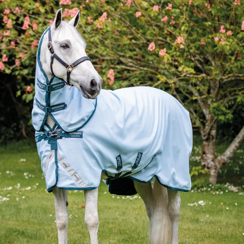 Horseware Amigo 50g Turnout Rug - Blue/Navy -1